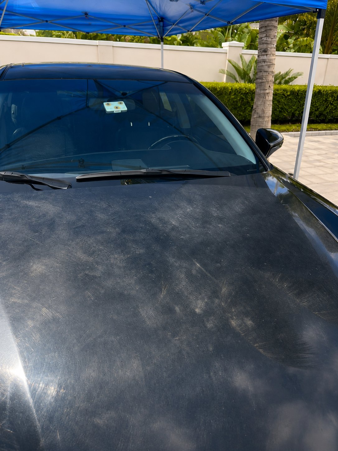Black car hood before paint correction covered in swirl marks, haze and fine scratches